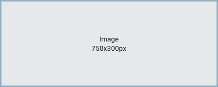 750x300px